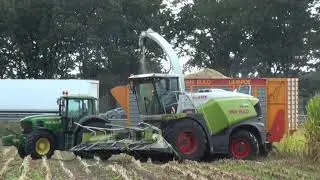 part 2 Cornharvest 2021 Van Rulo Claas jaguar 950 + 600 sd orbis + John Deere's + kaweco + veenhuis
