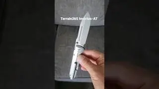 #shorts #daily #youtubeshorts #carry #atherapeuticedge #terravantium #blade