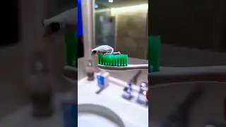 Surprise in Toothpaste 😱🤣🥰🤪#shorts #viral #shortvideo #trendingshorts