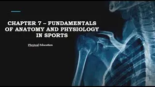  Chapter 7 | Fundamentals of Anatomy & Physiology in Sports |