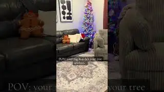 Elevate Your Space with Festive Rugs & Decor #rug #homedecor #livingroom