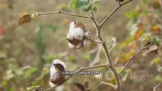 From Closet to Climate Hero: Sustainable Fashion Secrets!!!
