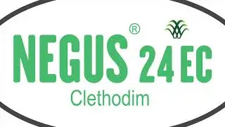 NEGUS 24 EC (Clethodim) - MESSIS