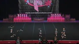 Cheer Sport Pocket Sharks  Tiny A 1
