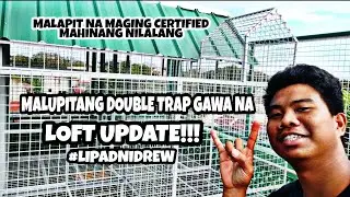 LOFT CONSTRUCTION UPDATE X MAKINA DOUBLE TRAP GAWA NA #pigeonracing #baratangkulungan #baratabirds