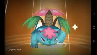 MEGA VENUSAUR POKEMON SUN MOON GAMEPLAY