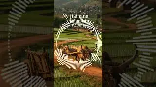Ny fiainana eto an-tany (Valolahy) Cover Elah sy beloha