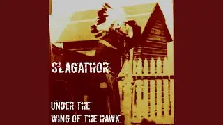 Under The Wing of The Hawk