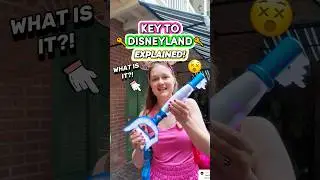 What is the Key to Disneyland?! 😮🔑(70th Celebration Interactive Disney Activity)