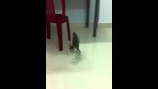 Surprise???!!!