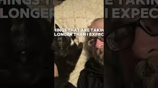 The Cat Knows #catwisdom #cat #catlover #wisdoms #catvideos #wisdomfound #cute #pets #short #shorts