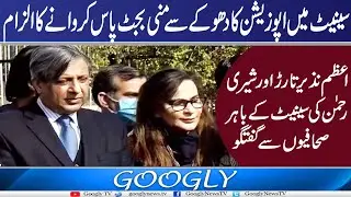Senate Mein Opposition Ka Dhookay Sai Mini Budget Pass Karwanay Ka Ilzam | Googly TV