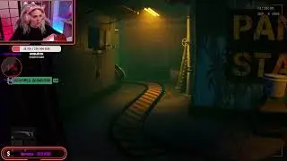Следим за животными в зоопарке Stream 2