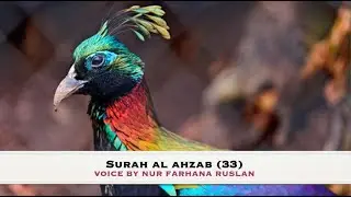 Islamic marriage, family and rightfulness with Surah Al Ahzab - Female Voice