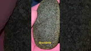 achondrite primitive brachinite