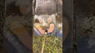 Pressure cleaning with a smile ✨#pressurewashing #smile #viral #fyp