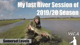Моя последняя щучья сессия в этом речном сезоне — Somerset Levels
