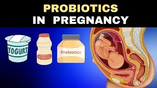 Probiotics: The Secret For a Healthy Pregnancy