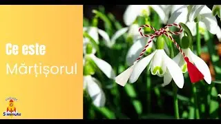CE ESTE MĂRȚIȘORUL?