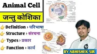 🔬 Animal Cell for Nursing Students | GNM & BSc Nursing | Quick Learning by Abhishek Sir 👩‍⚕️👨‍⚕️
