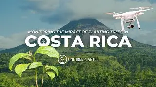 Monitoring Project Impact in Costa Rica | One Tree Planted