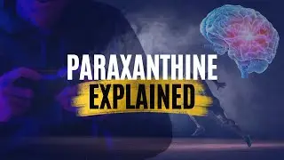 Paraxanthine Explained