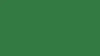 2 HOURS - Deep Forest Green Solid Color Background (4K Loop)