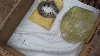 طريقة جيدة لتغذية النحل و تهيئته لفصل الربيع