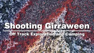 Landscape Photography in Girraween NP | Shooting in Peak Wild Flower Season