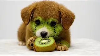 Cute Fruit Dogs Eating Delicious Fruits! [AI ASMR]