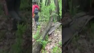 #offtrail