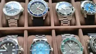 Half year SOTC review feat. Wise, RZE, Henry Archer, Oris, Seiko and more!