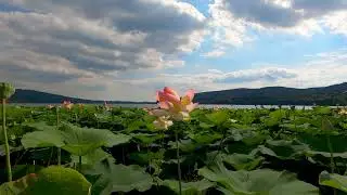 Far Beyond | Peaceful Music | Instrumental Soaking Worship