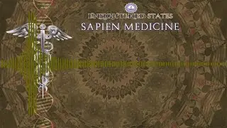 Brain Regeneration Morphic and Energetic Programming Experimental  //Sapien Medicine//