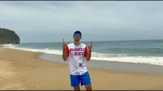 YELLOW PANDA - VERANITO (Video Oficial)