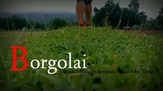 Borgolai Vlog || Margherita,Assam || Representative Vlog