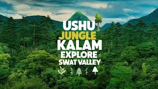 USHU Jungle Kalam Swat  | Exploring the Beauty of Kalam Valley | Nature's Paradise 