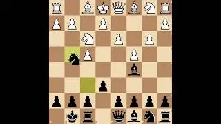 BIRD OPENING QUEEN TRAP