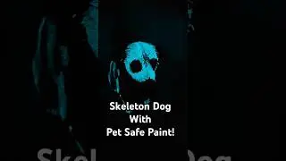 Adorable Dog Costume DIY Using Pet Safe Paint! #Dogs #HalloweenCostume #SpookySeason