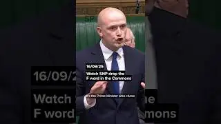 SNP swears in Commons 👀