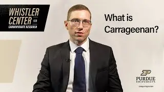What is Carrageenan?