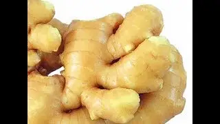Ginger washing machine | rotary drum washing machine from kitty
