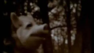 Boduf Songs - Two Across the Mouth
