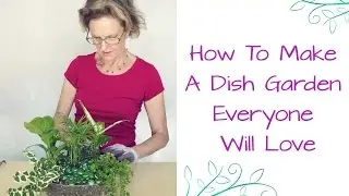 How To Make A Dish Garden Everyone Will Love / Joy Us Garden