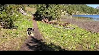 Island lake campground Beartooths