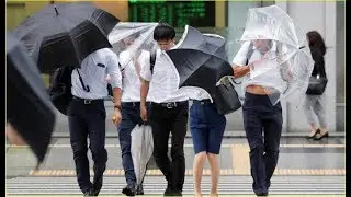 Strongest typhoon in quarter century hits Japan