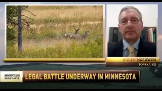 Minnesota Deer Farming Dispute Could Soon Reach a Tipping Point