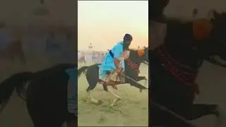 #horse #stunt #Punjab #and #India #public #video #viral