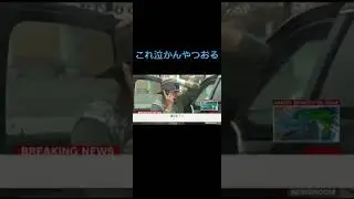 これ泣かんやつおる#short #shorts #感動 #号泣