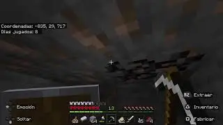 jugando Minecraft Hardcore 100 d&iacute;as